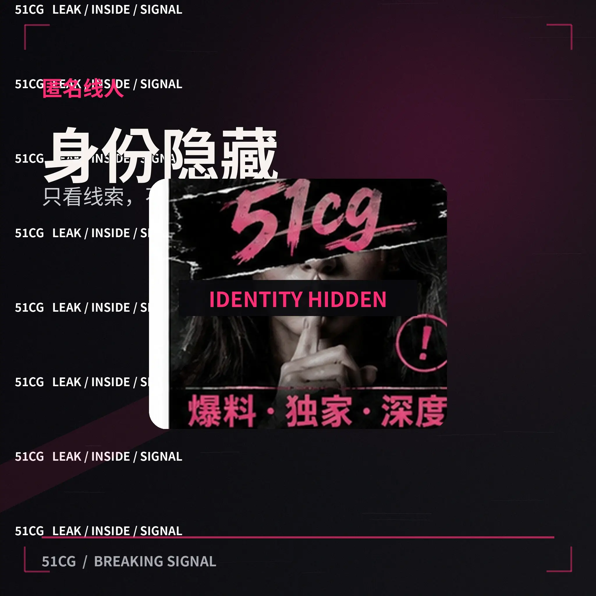 公开娱乐活动中的媒体人物剪影